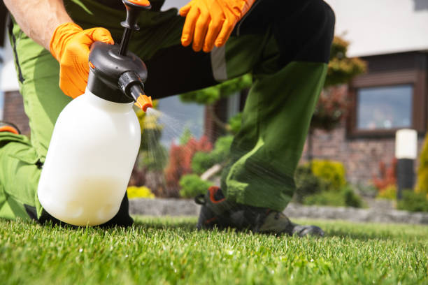 Best Pest Control Treatment  in USA